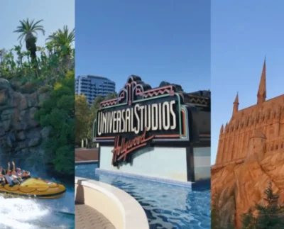 Top 5 Attractions and Shows