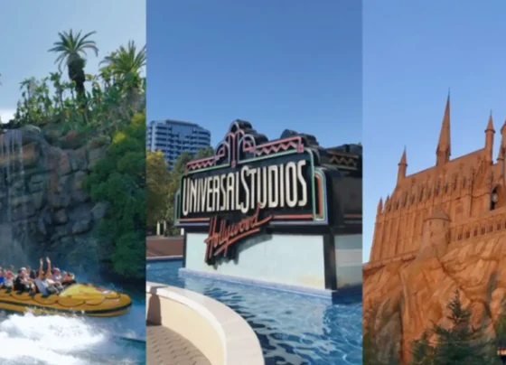 Top 5 Attractions and Shows