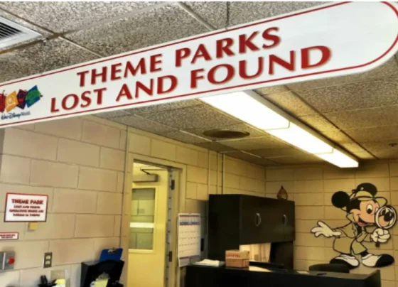 Disney World Lost and Found