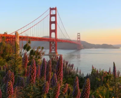 Golden Gate Bridge Tours in San Francisco