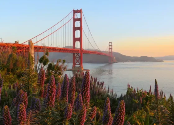 Golden Gate Bridge Tours in San Francisco