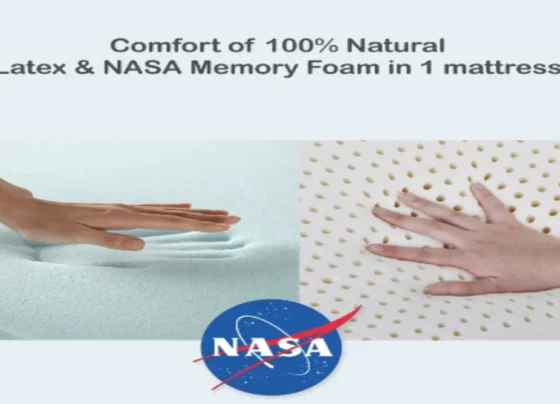 NASA Memory Foam Mattress